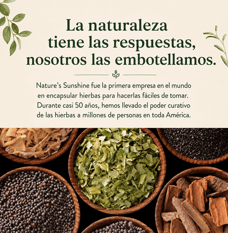 Ingredientes herbales